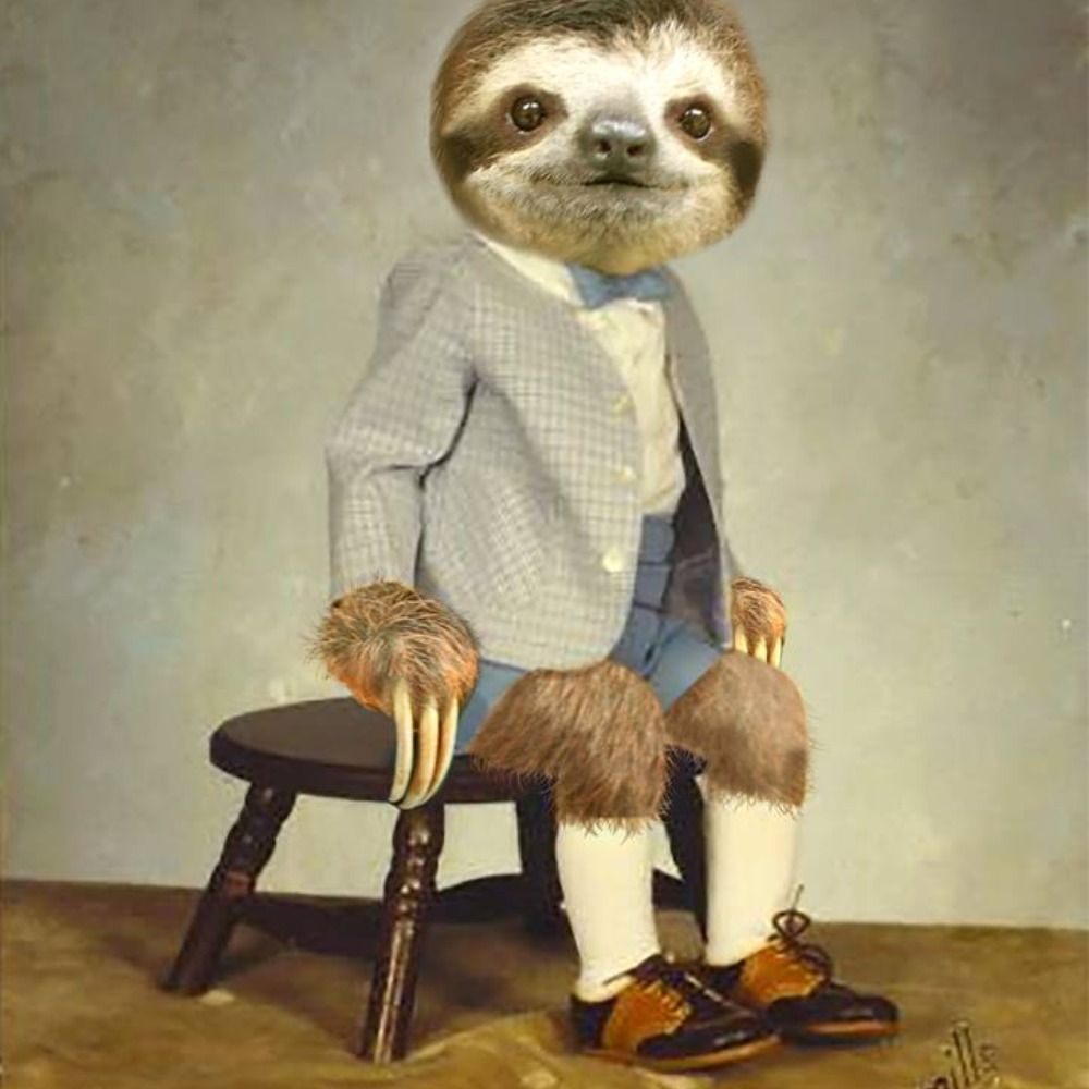 Baxter Dashingrod
