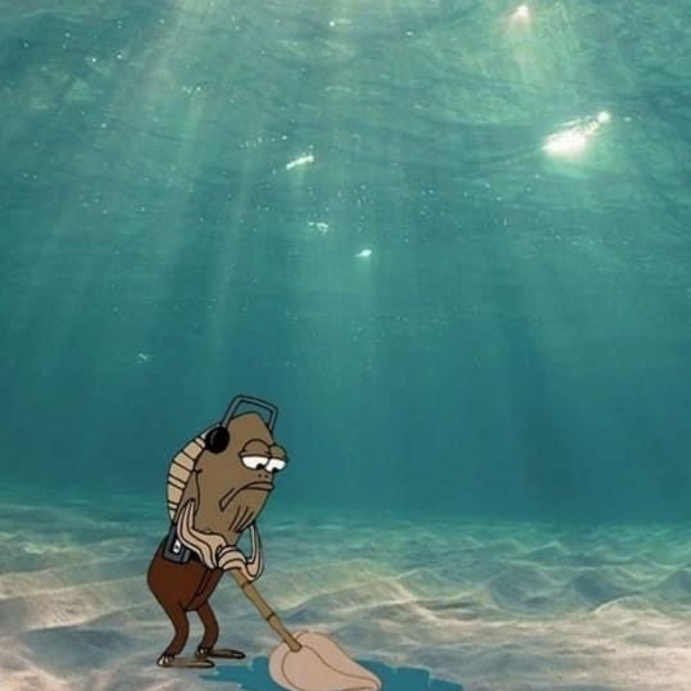 Cód.axss