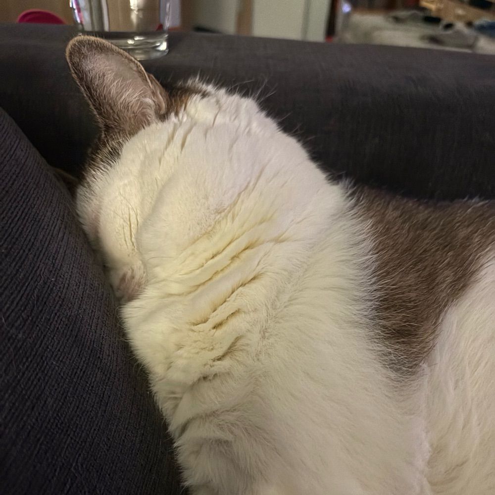 Killiepie