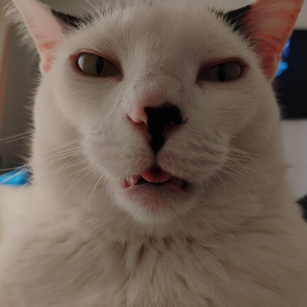 Lulu