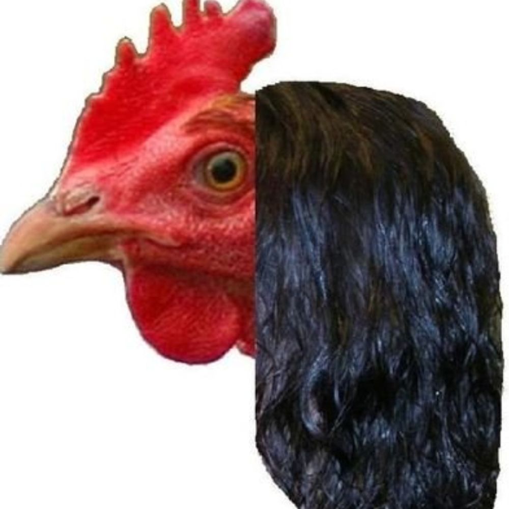 ChickenPerm