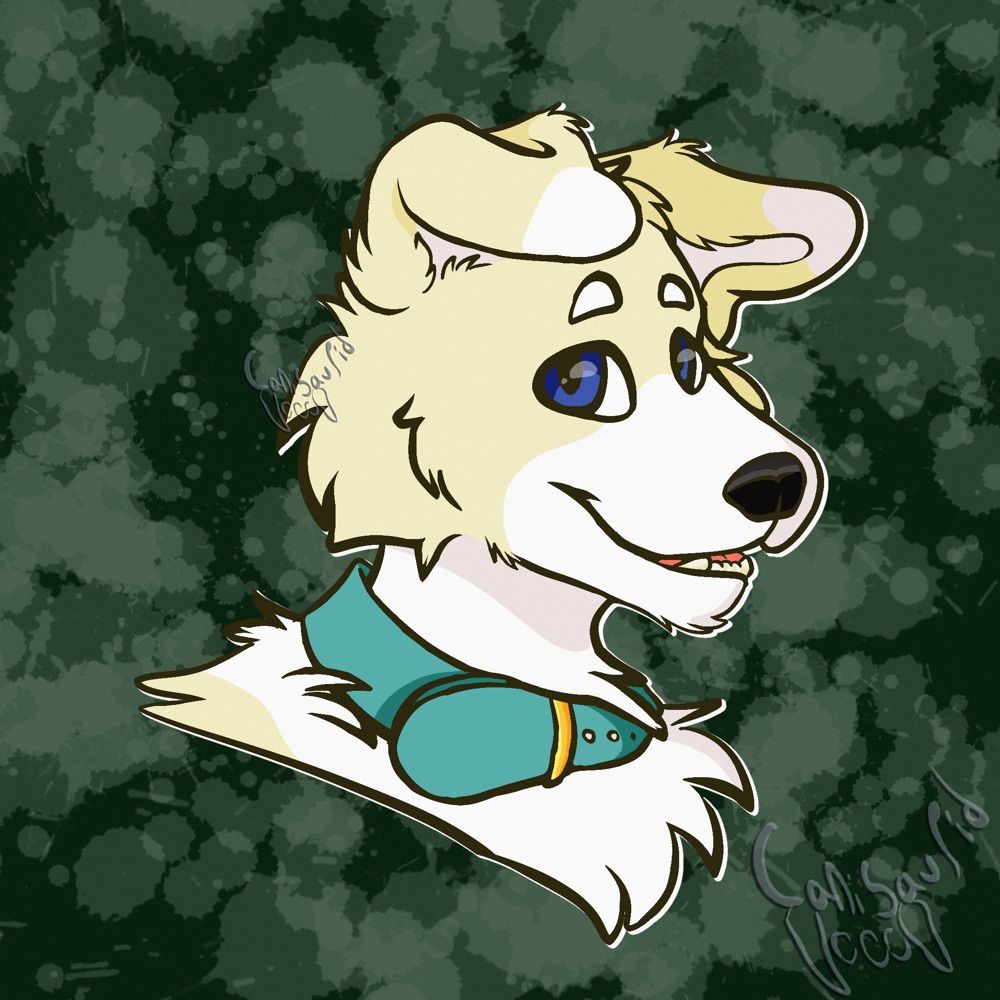 Luck (He/Him)