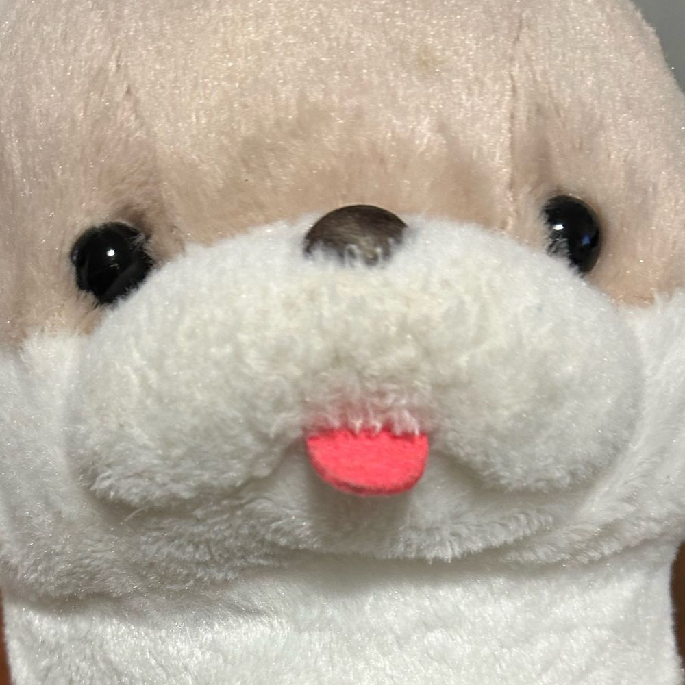 あゆこ