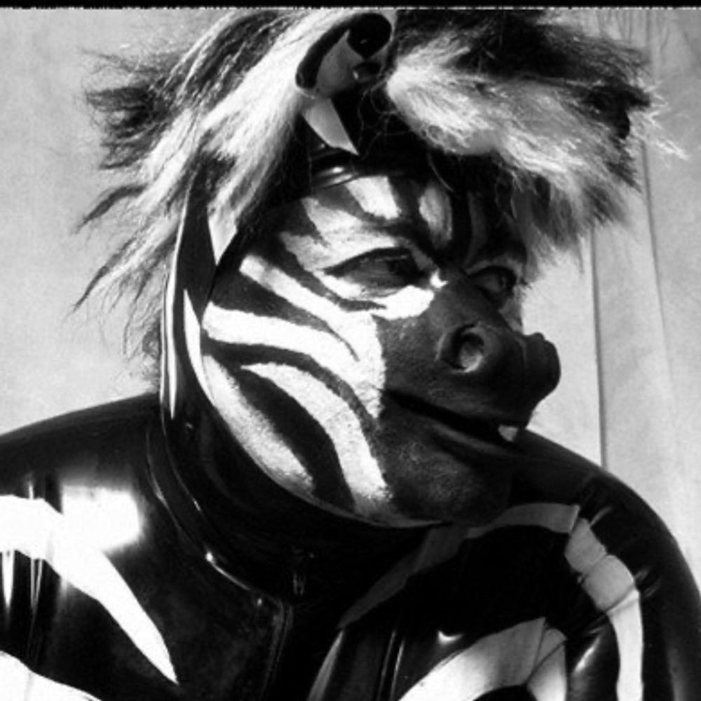 rubberzebra.bsky.social profile picture