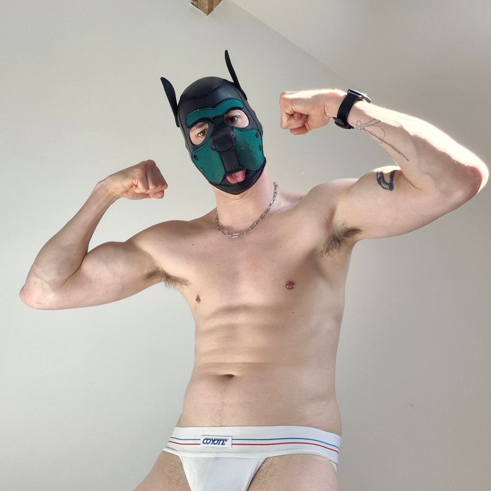 Leo the pup 🔜 Berlin 24-27/08