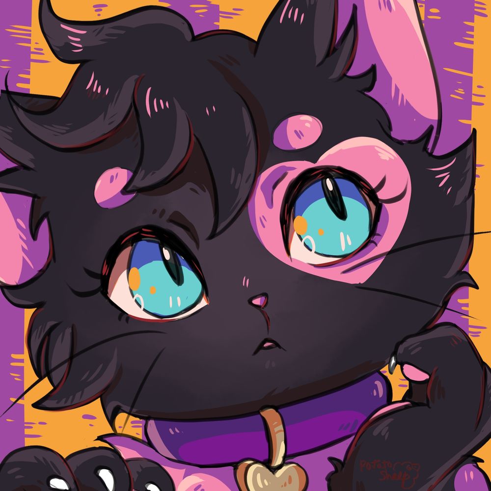 MarcyCat
