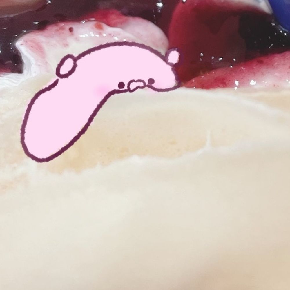 いぬ！