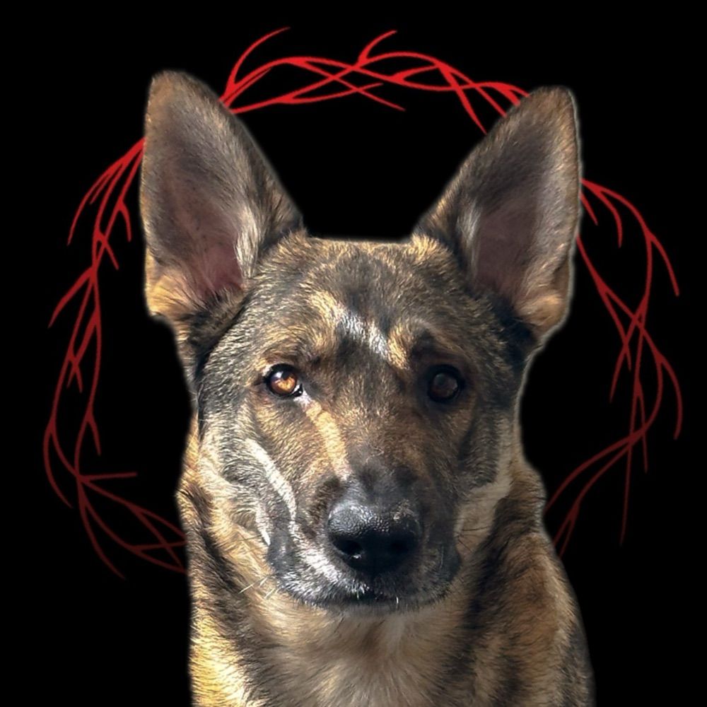 Demon.Dog.Duo