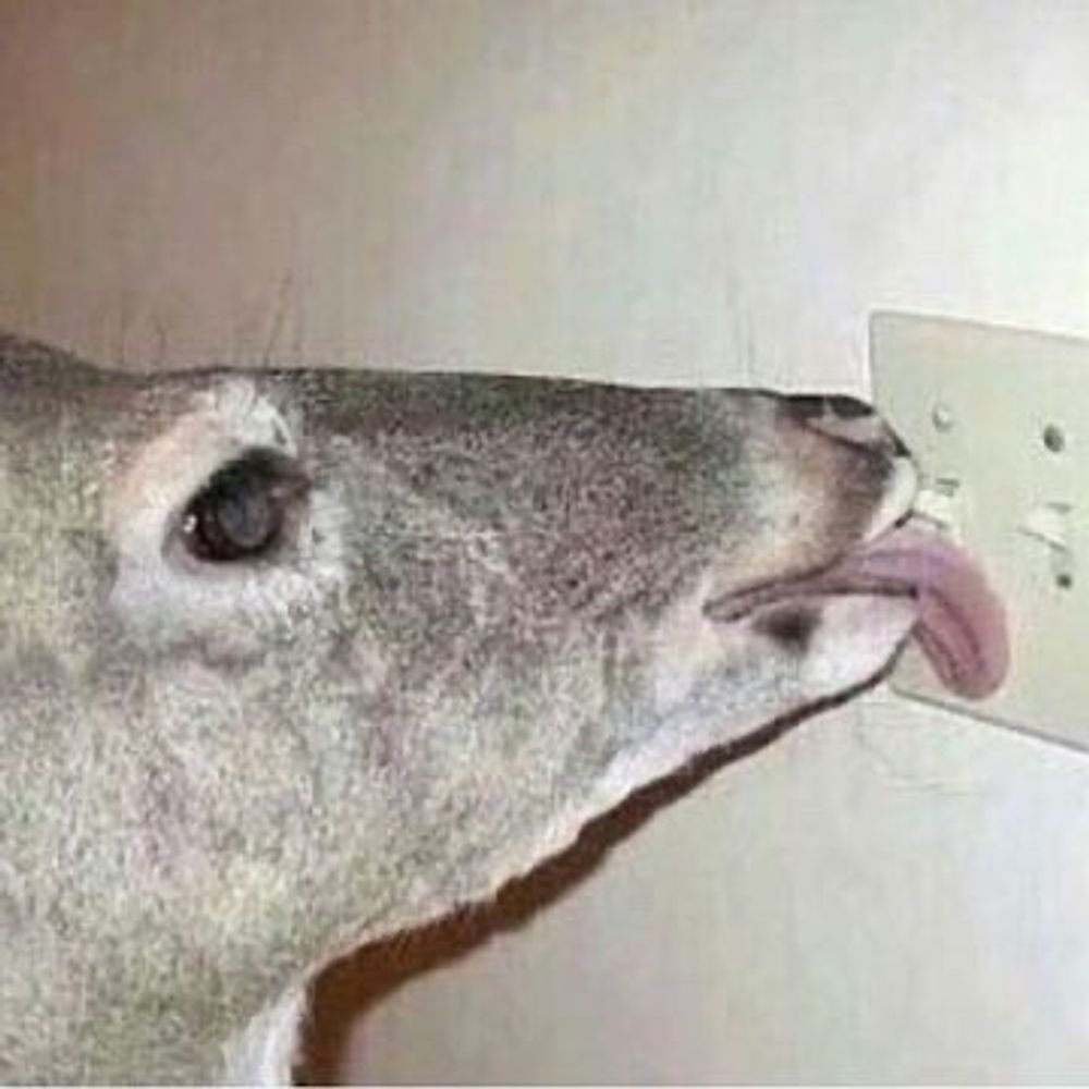 SteelyKafka