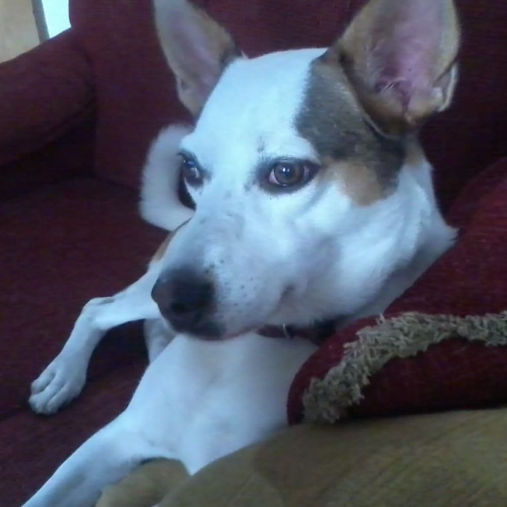 Nicky