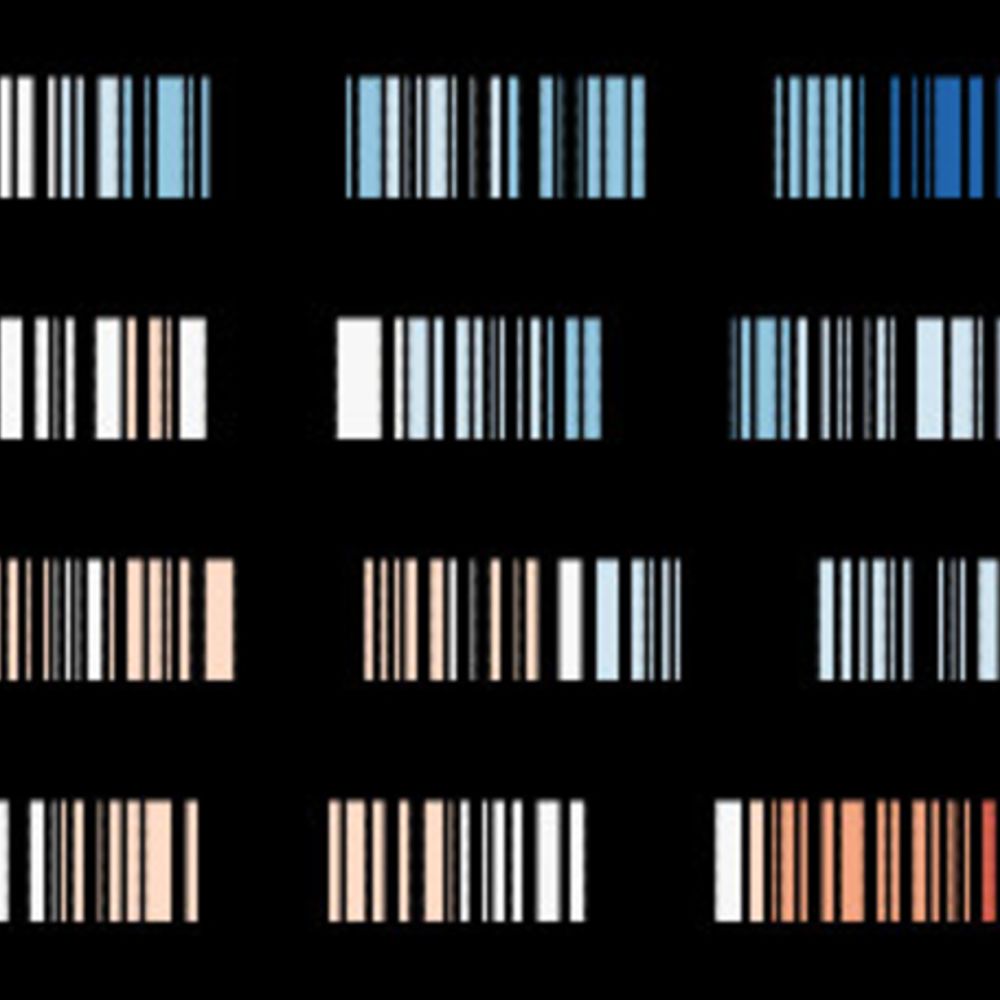 Sports Timeline Viz (Bot)