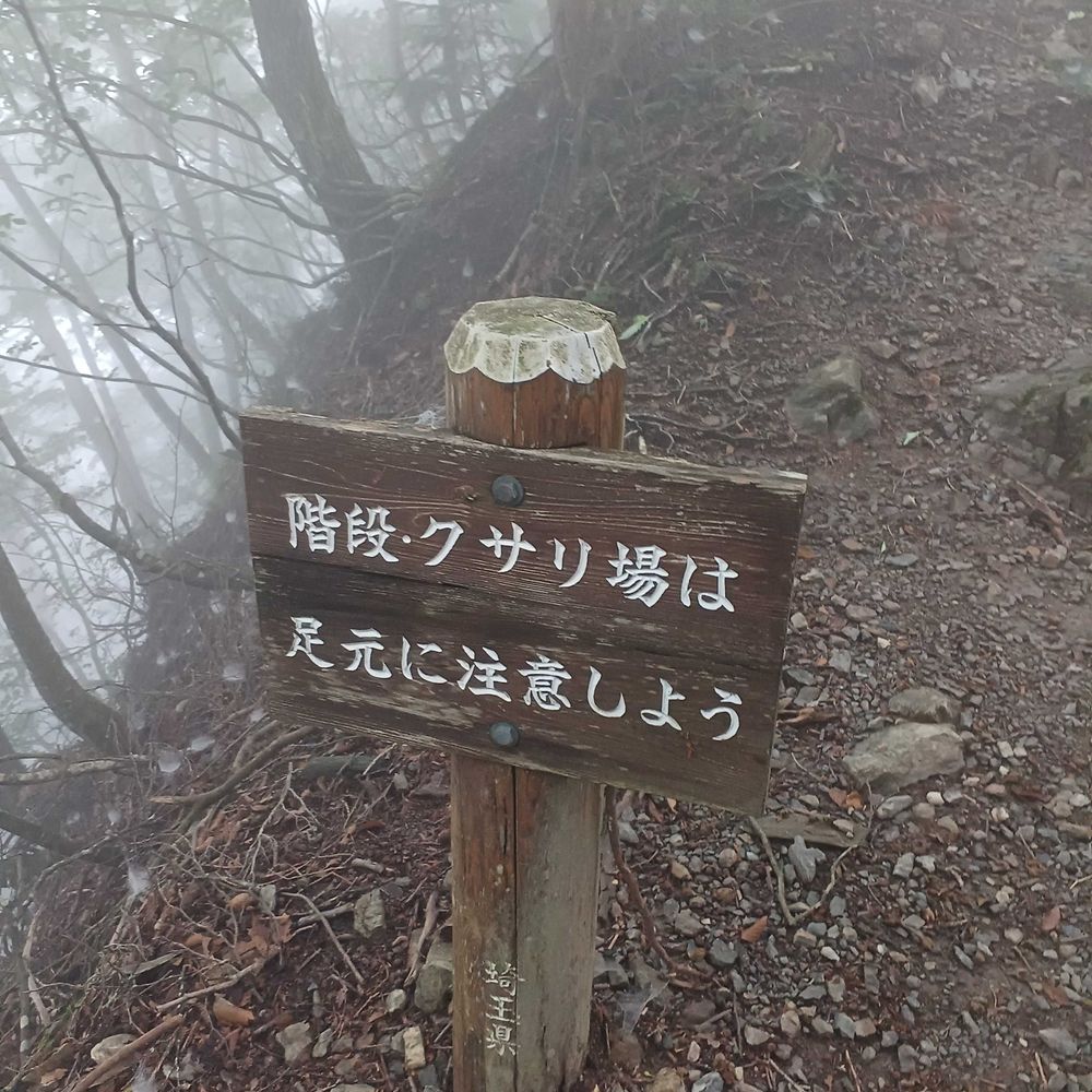 狭中えもね