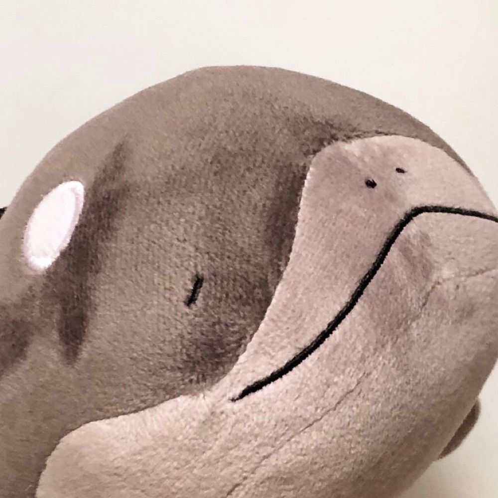ノキ