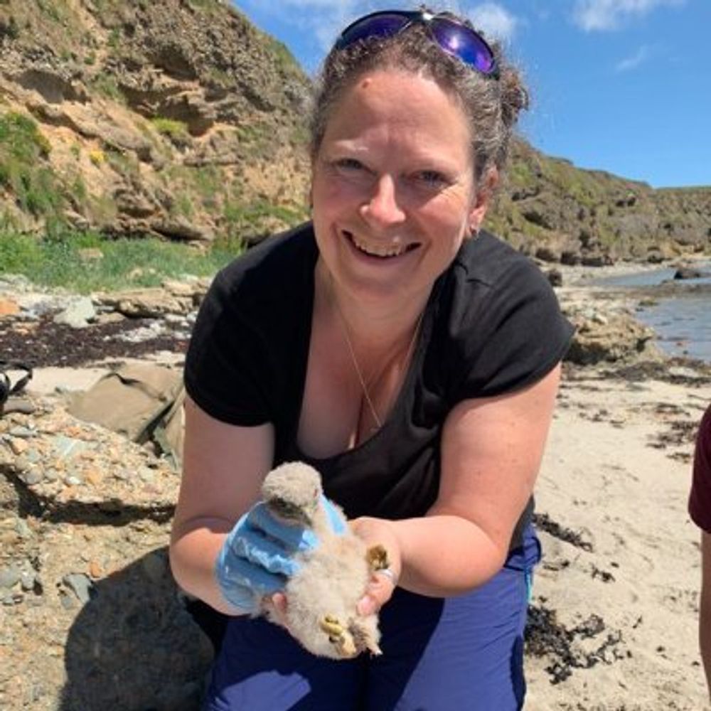 Dr Sarah Helyar