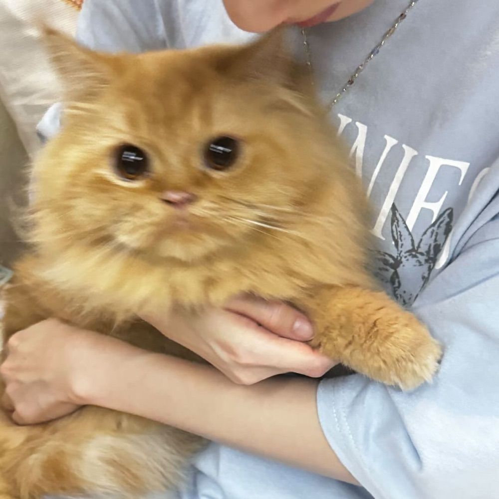 บย ฮันนีของเลิฟรัก 24/7