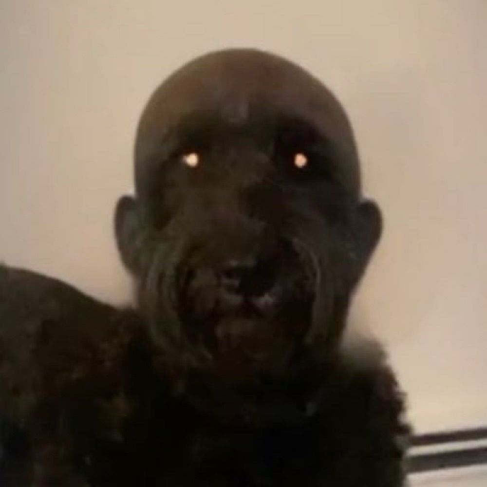 Léo