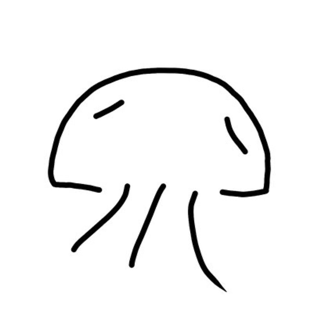 月海月