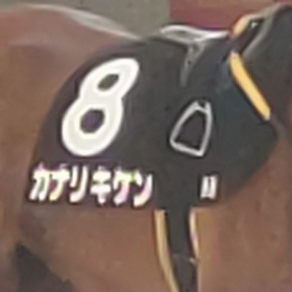 あまみの