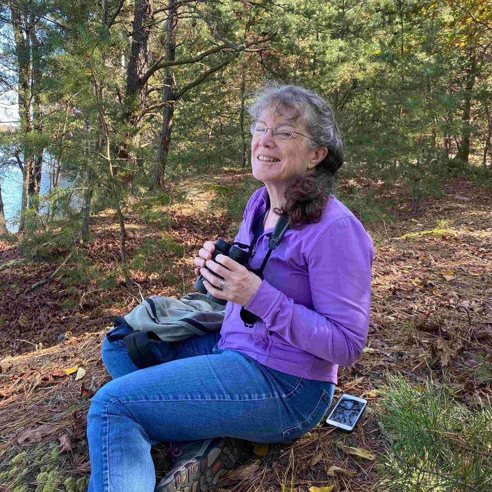 Ann Lewis