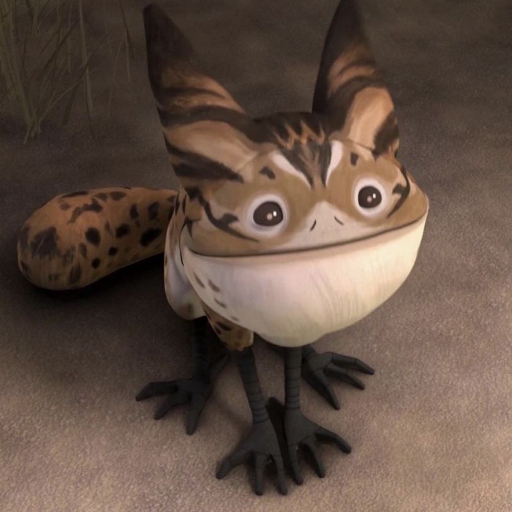 Lana the loth-cat