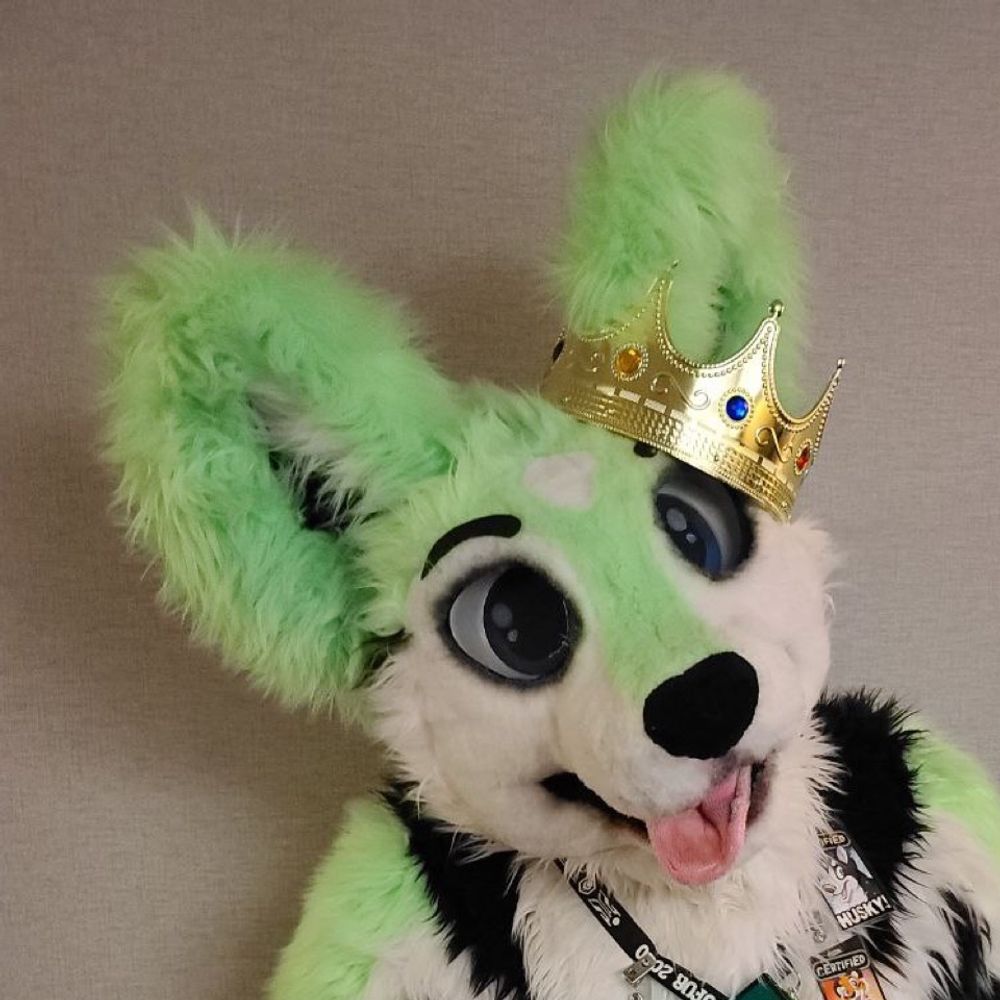 Skee Da Curl 🔜 Fur Eh, BLFC?