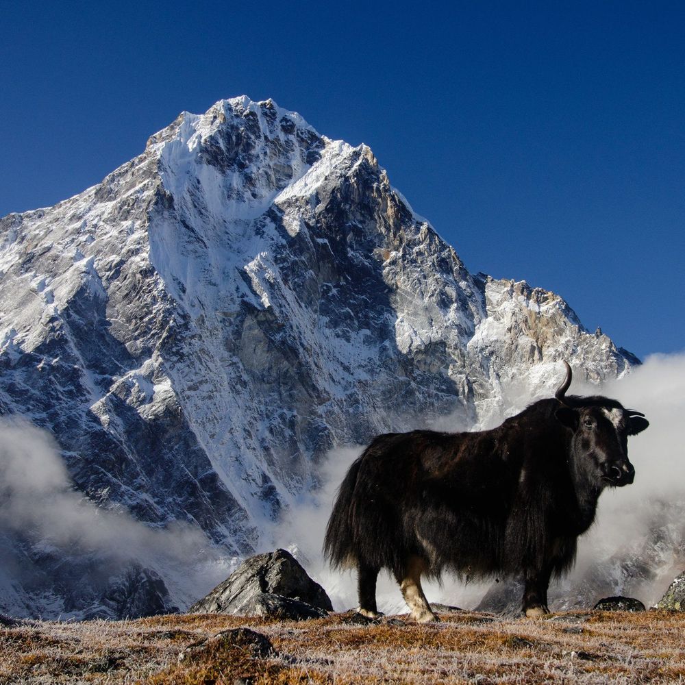 Sagarmatha