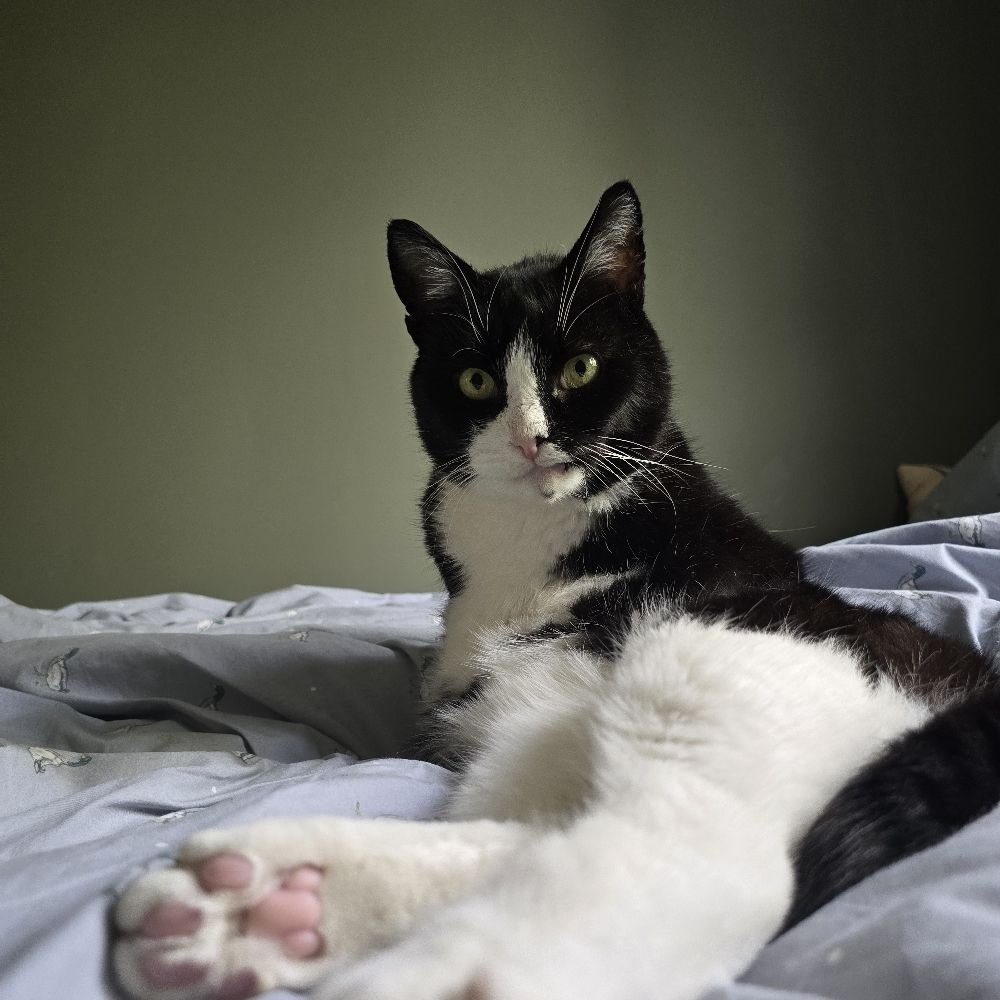 Max (Krïmb types)