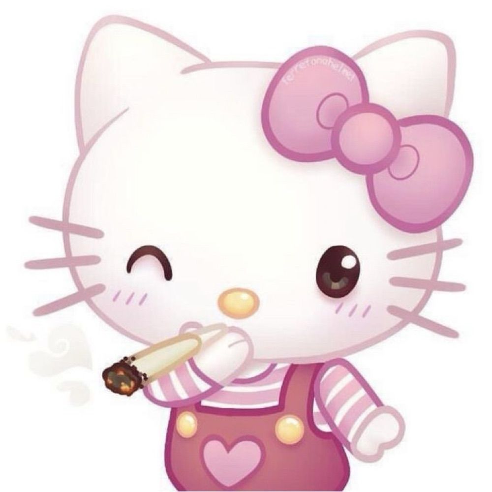 laysa com y  