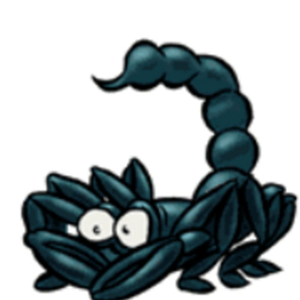 Skorphio