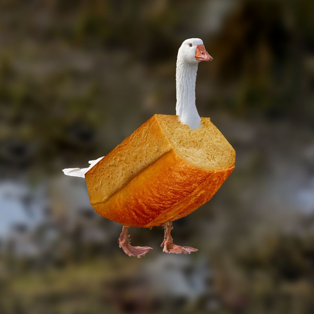 Loafygoose