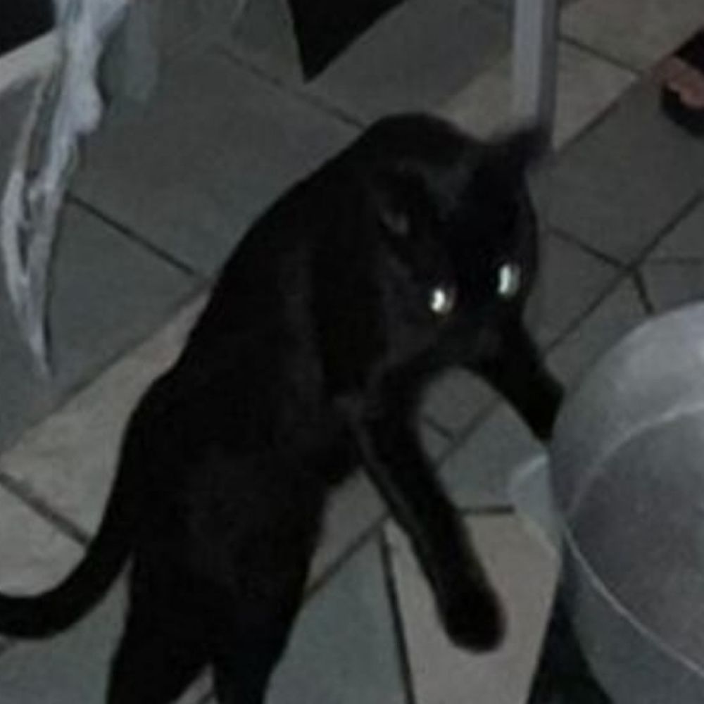 Viticius