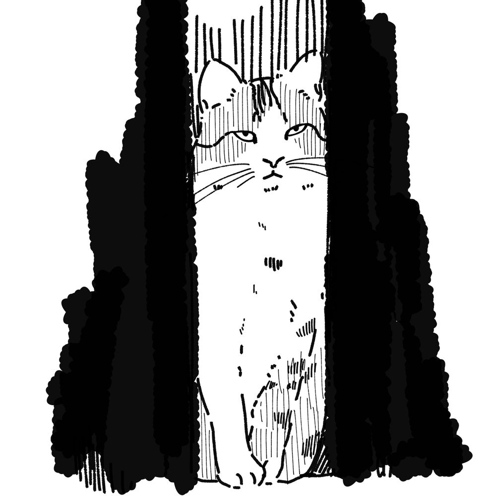 ひらの