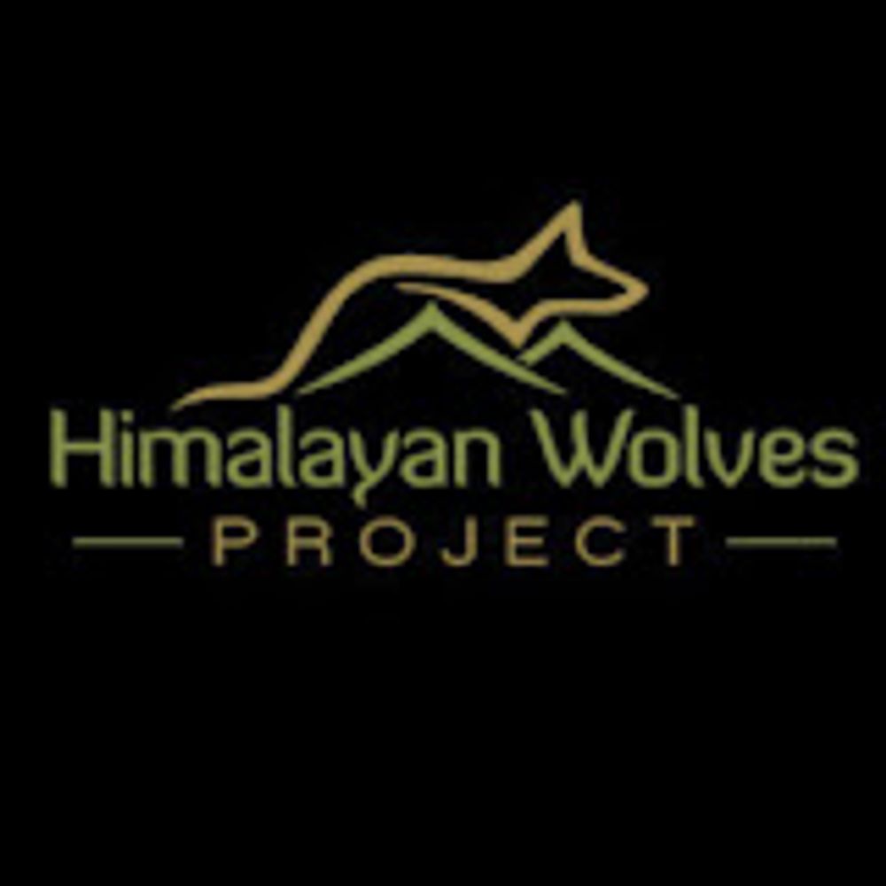 Himalayan Wolves Project