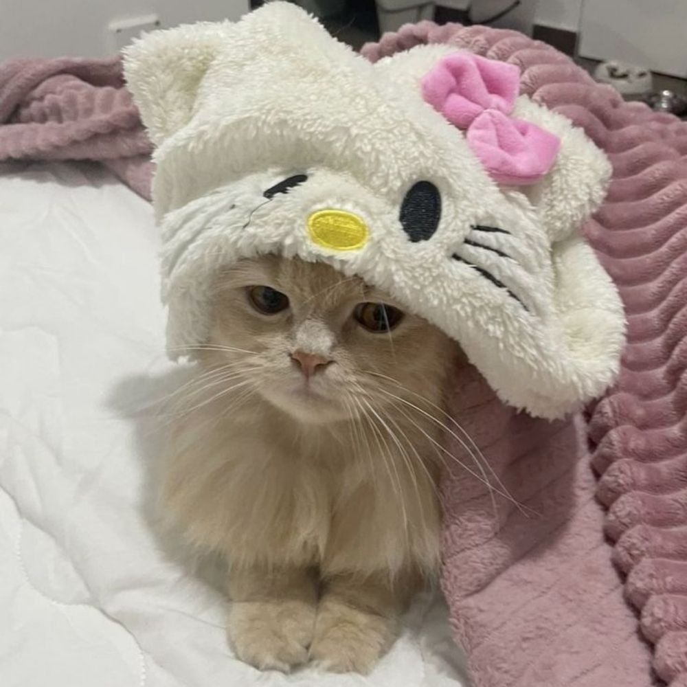 Ins0mnio