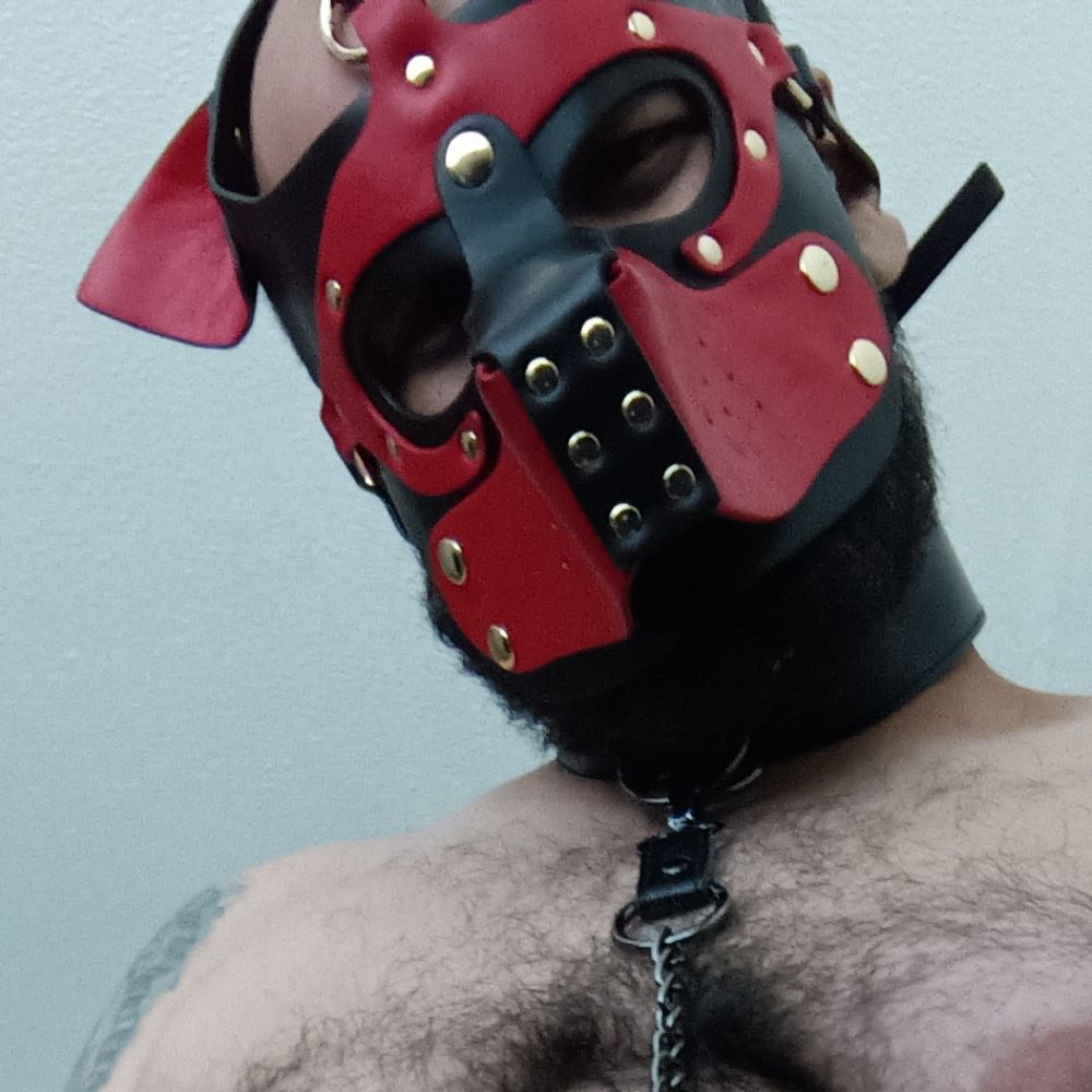 Pup Rebel