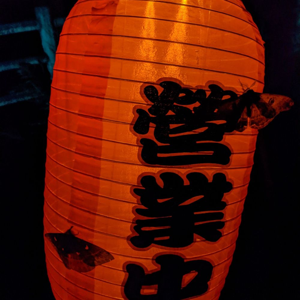 赤提灯