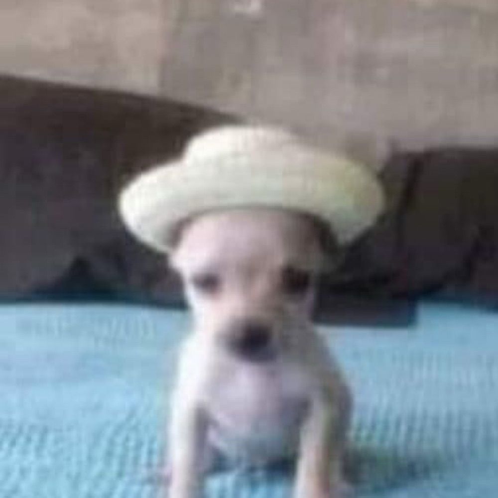 고등램지🥟