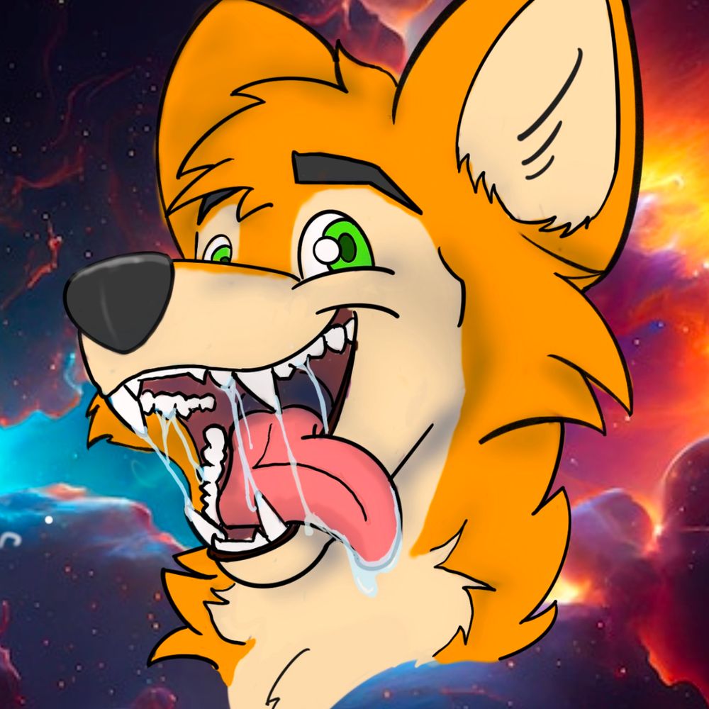 Max The Dingo
