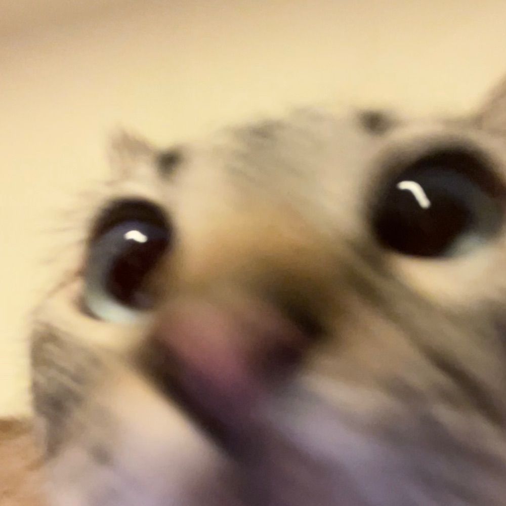 Quinn