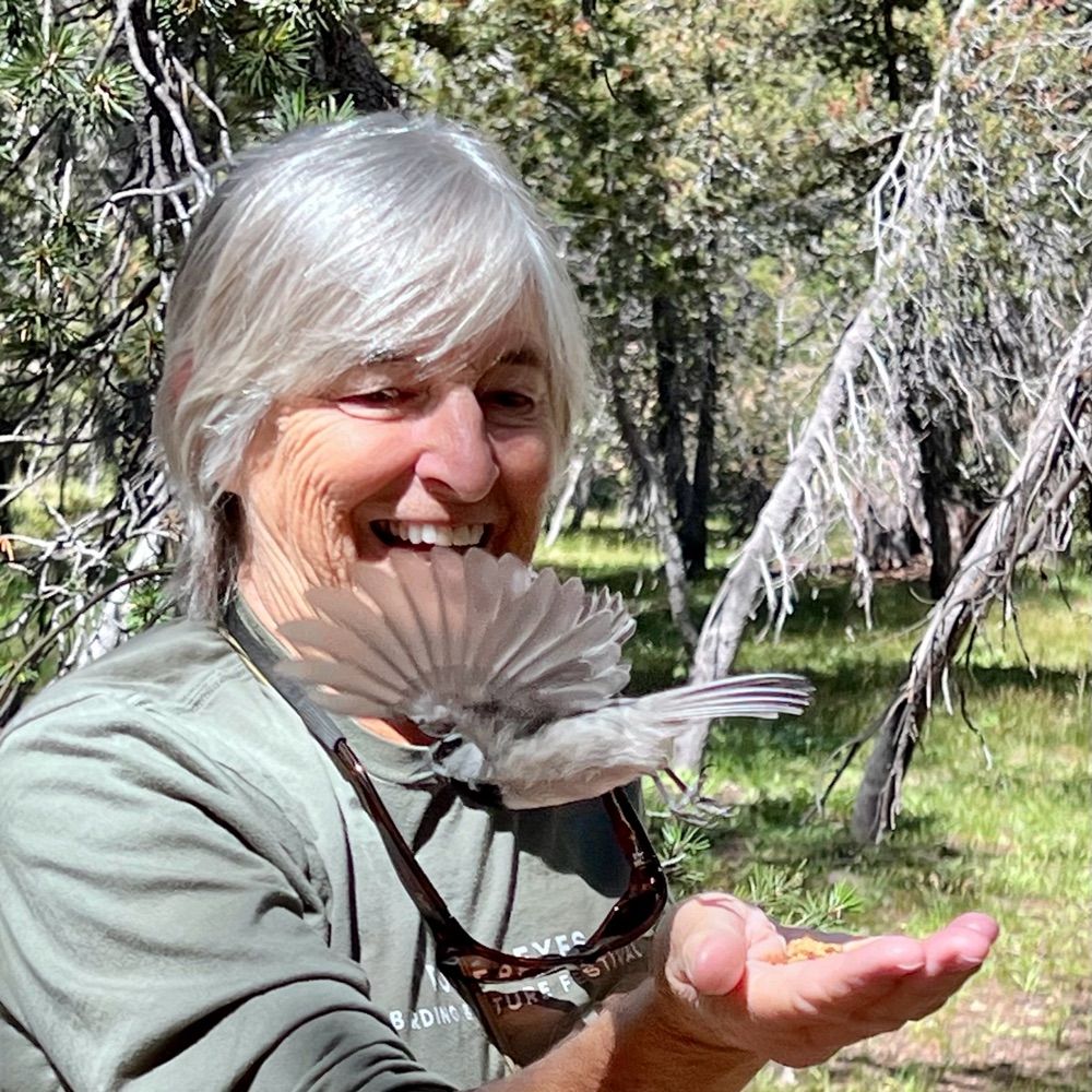 Daphne Hatch