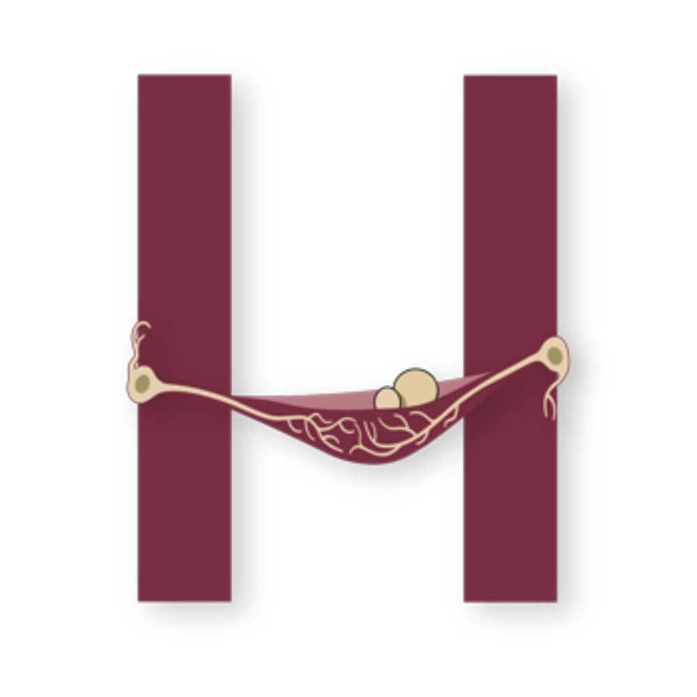 HammockNeuroLab