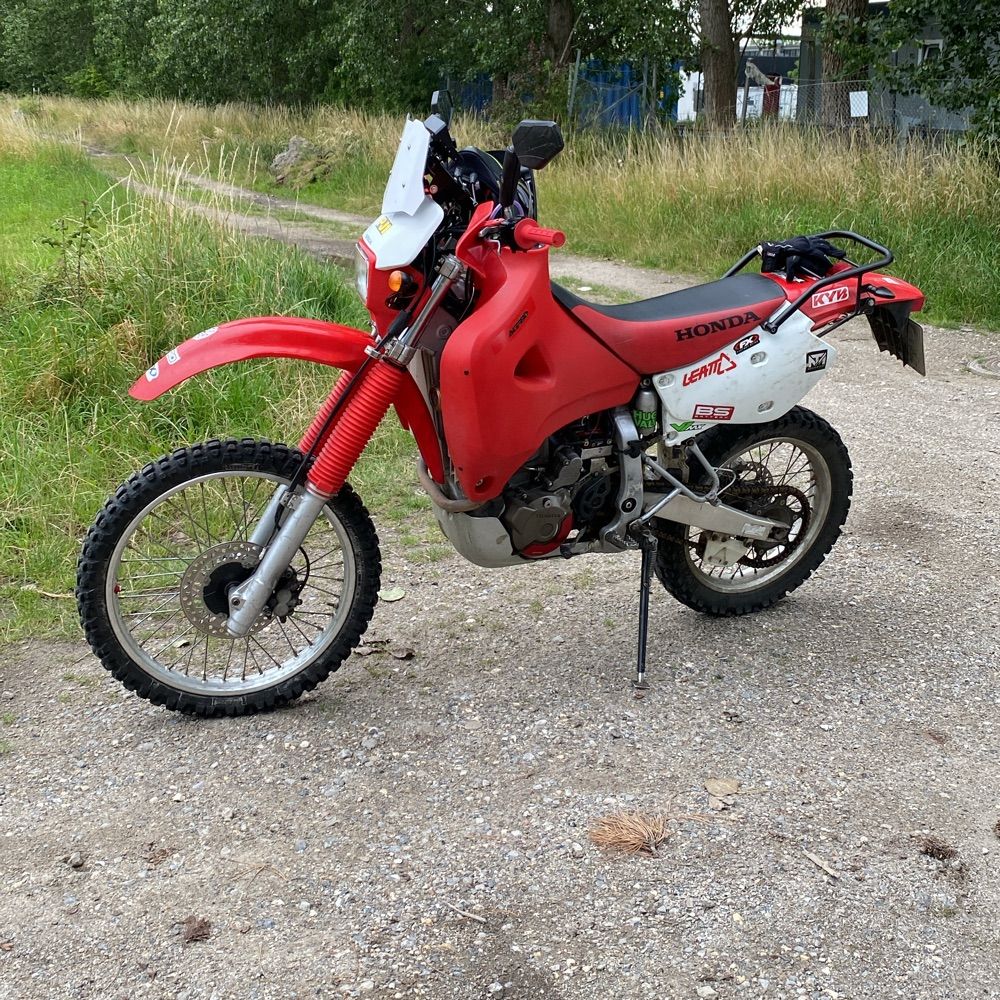 The Big Red Riding Pig