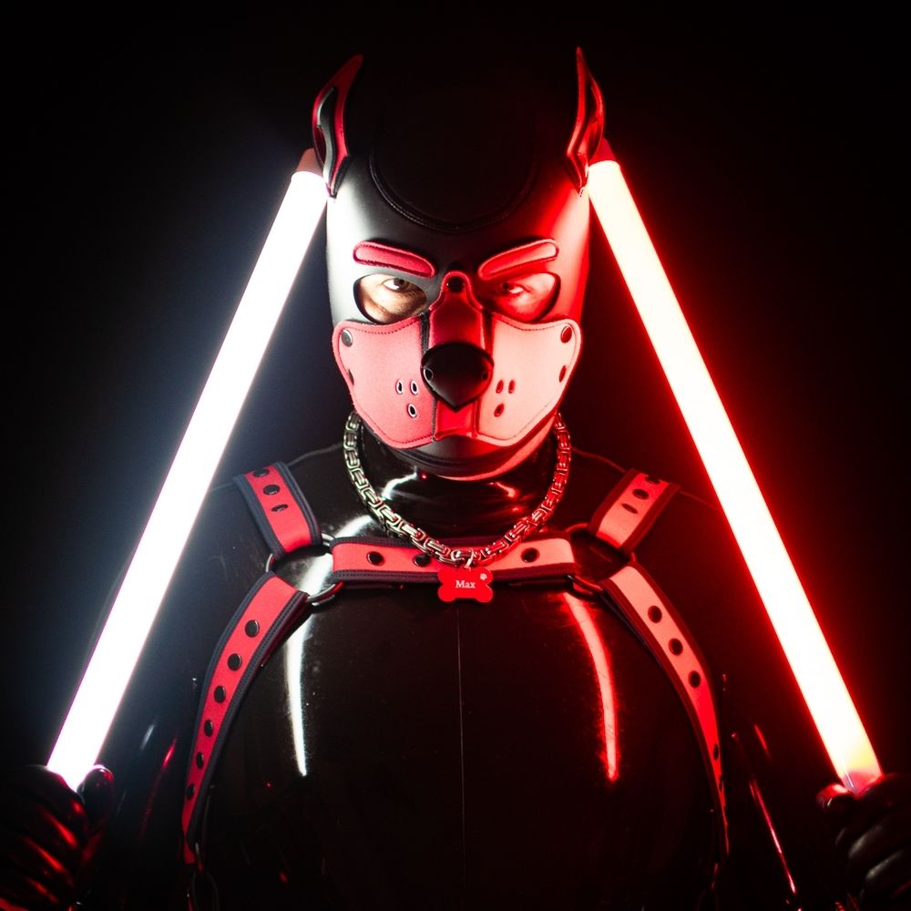 PupMax_fr