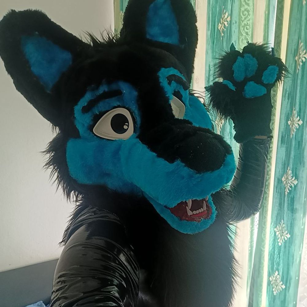 Thorniii The Shiny Wolf