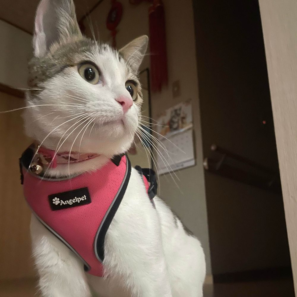ユニー