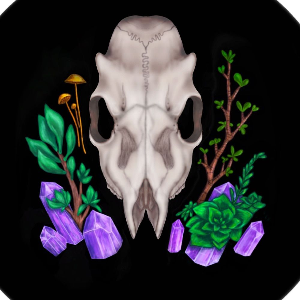 Nature Bone Studio