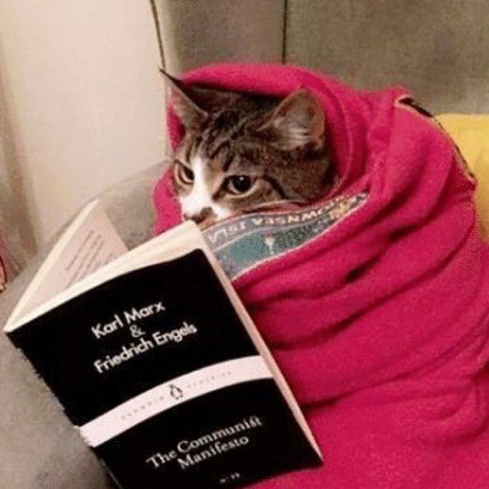 𝗷𝗼𝗮𝗻𝗻𝗲🍉