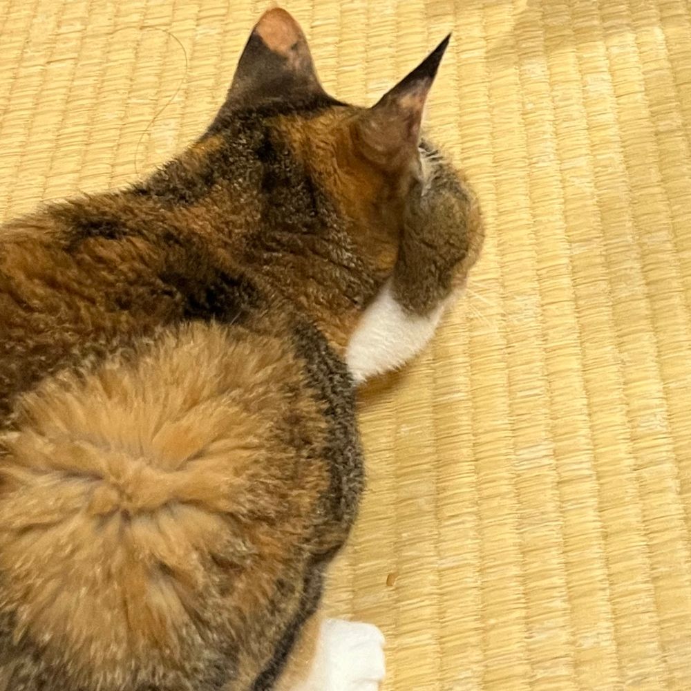 じそく