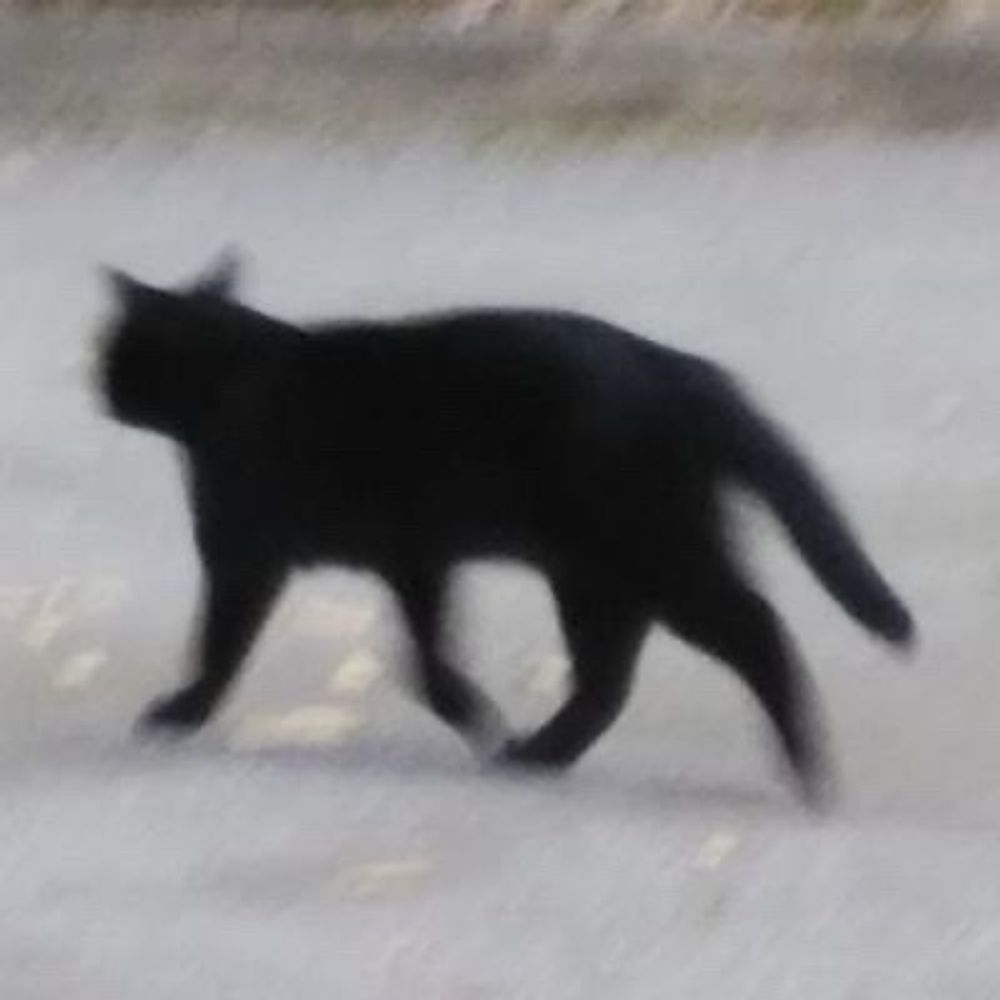 ゆっち