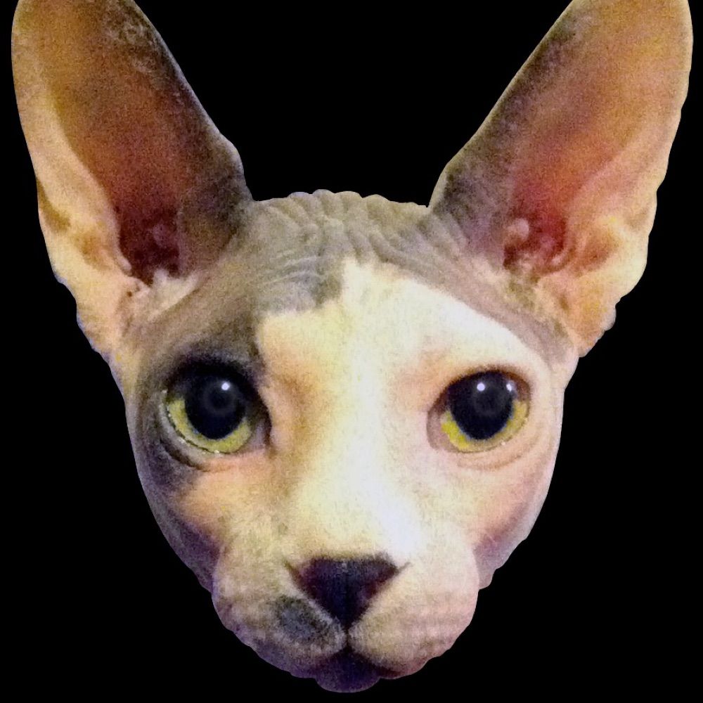KAFKA
